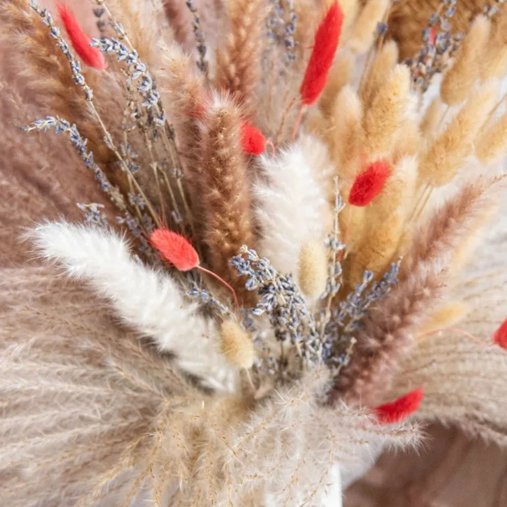 천연 팜파스 라벤더 드라이 플라워 부케 웨딩 장식 갈대 - Pampas Grass Decor 리뷰 및 가격