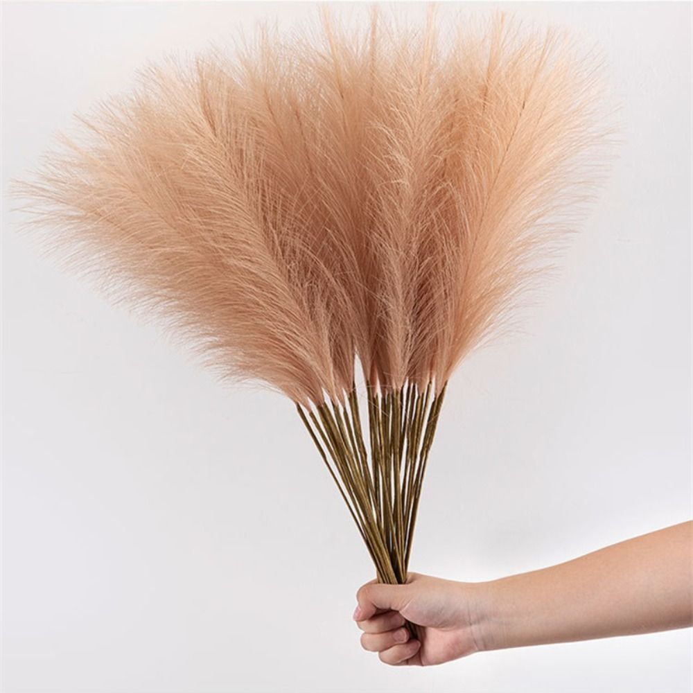 10개/세트, 집 꾸미기용 푹신한 팜파스 풀, DIY, - Pampas Grass Decor 리뷰 및 가격