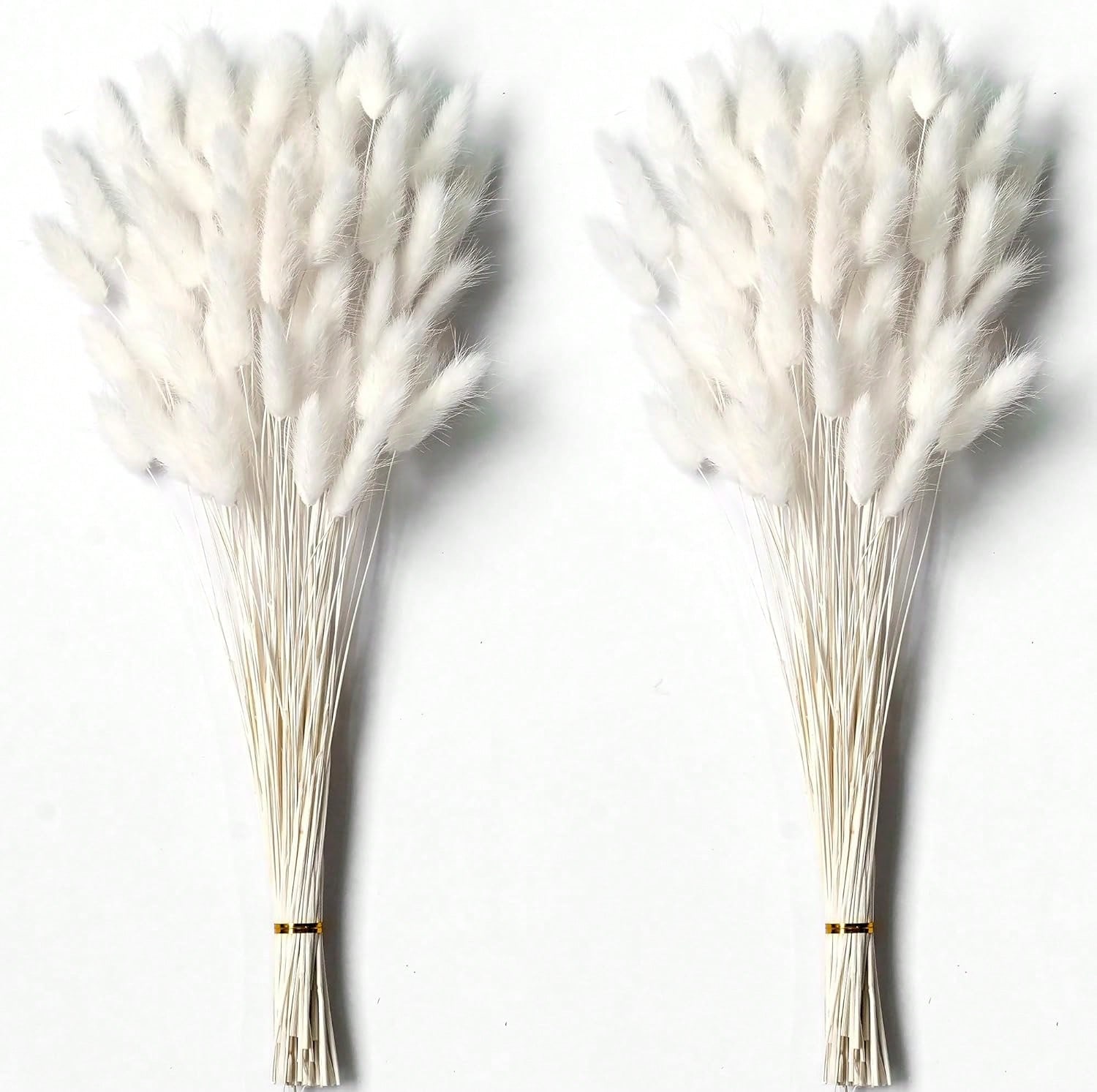120개 건조 팜파스 그래스 장식용 드라이 플라워, 대 - Pampas Grass Decor 리뷰 및 가격