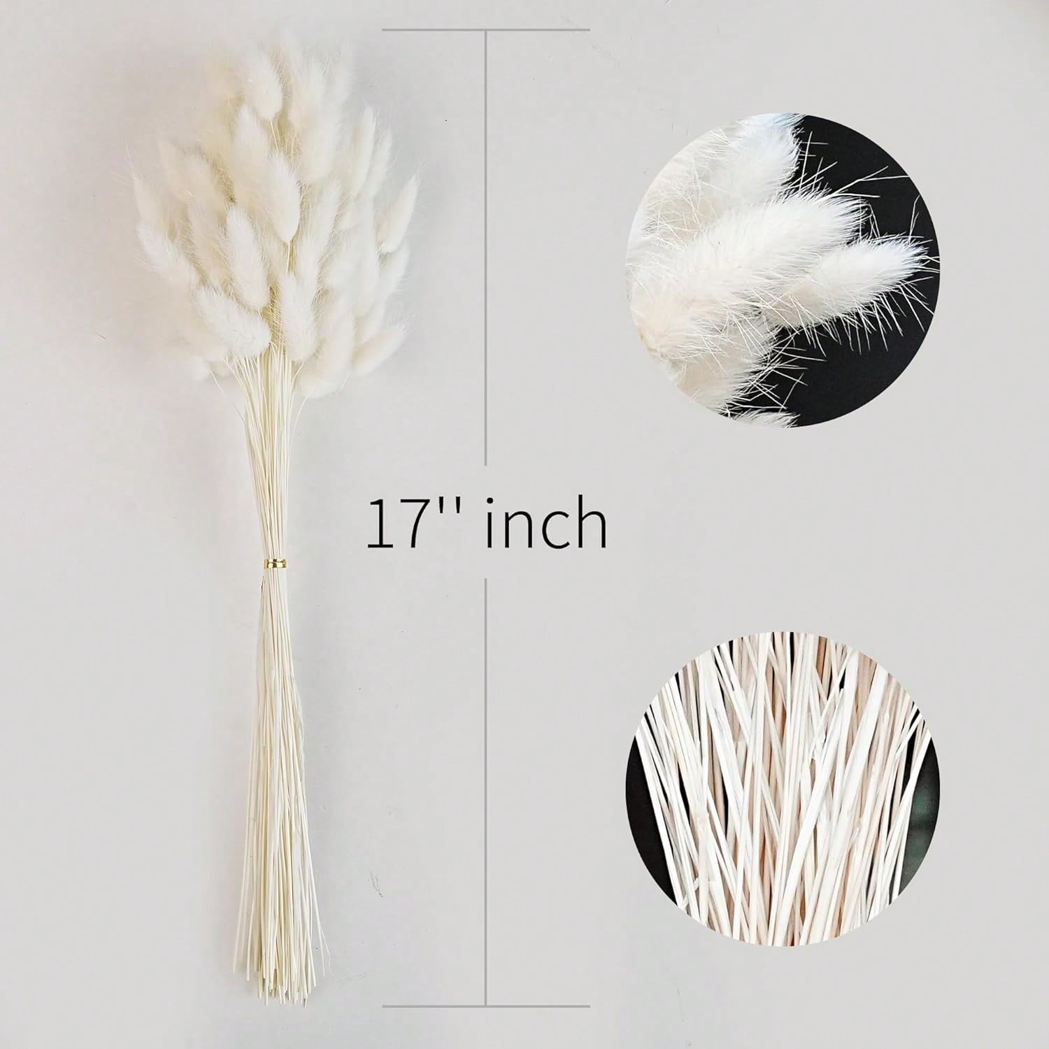 120개 건조 팜파스 그래스 장식용 드라이 플라워, 대 - Pampas Grass Decor 리뷰 및 가격