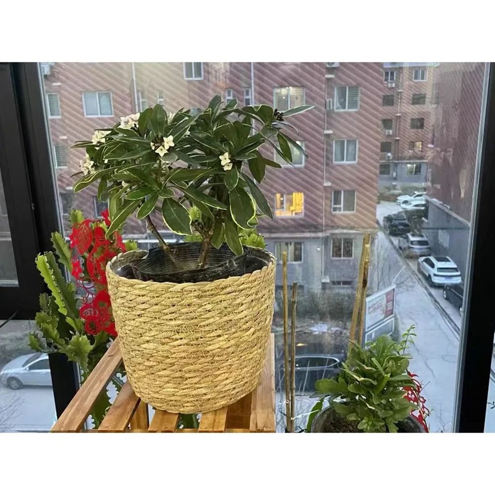 정원 테라스용 화분 바구니 라탄 짚 가구 장식 풀로 엮 - Rattan Plant Basket 리뷰 및 가격