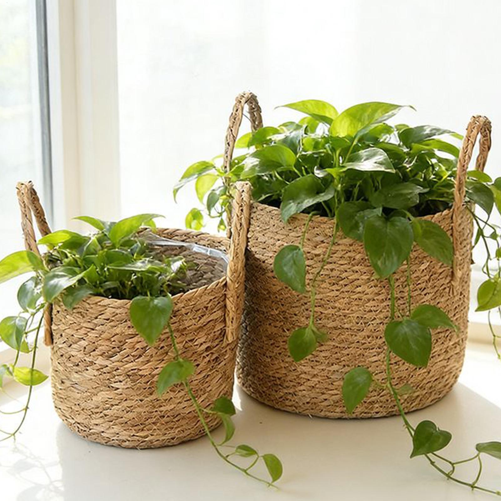화분 바구니 짚 화분 위커 화분 통풍이 잘되는 라탄 꽃 - Rattan Plant Basket 리뷰 및 가격
